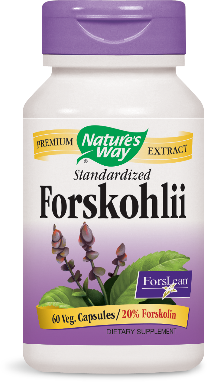 NW FORSKOHLII STNDIZD ( 1 X 60 VCAP )